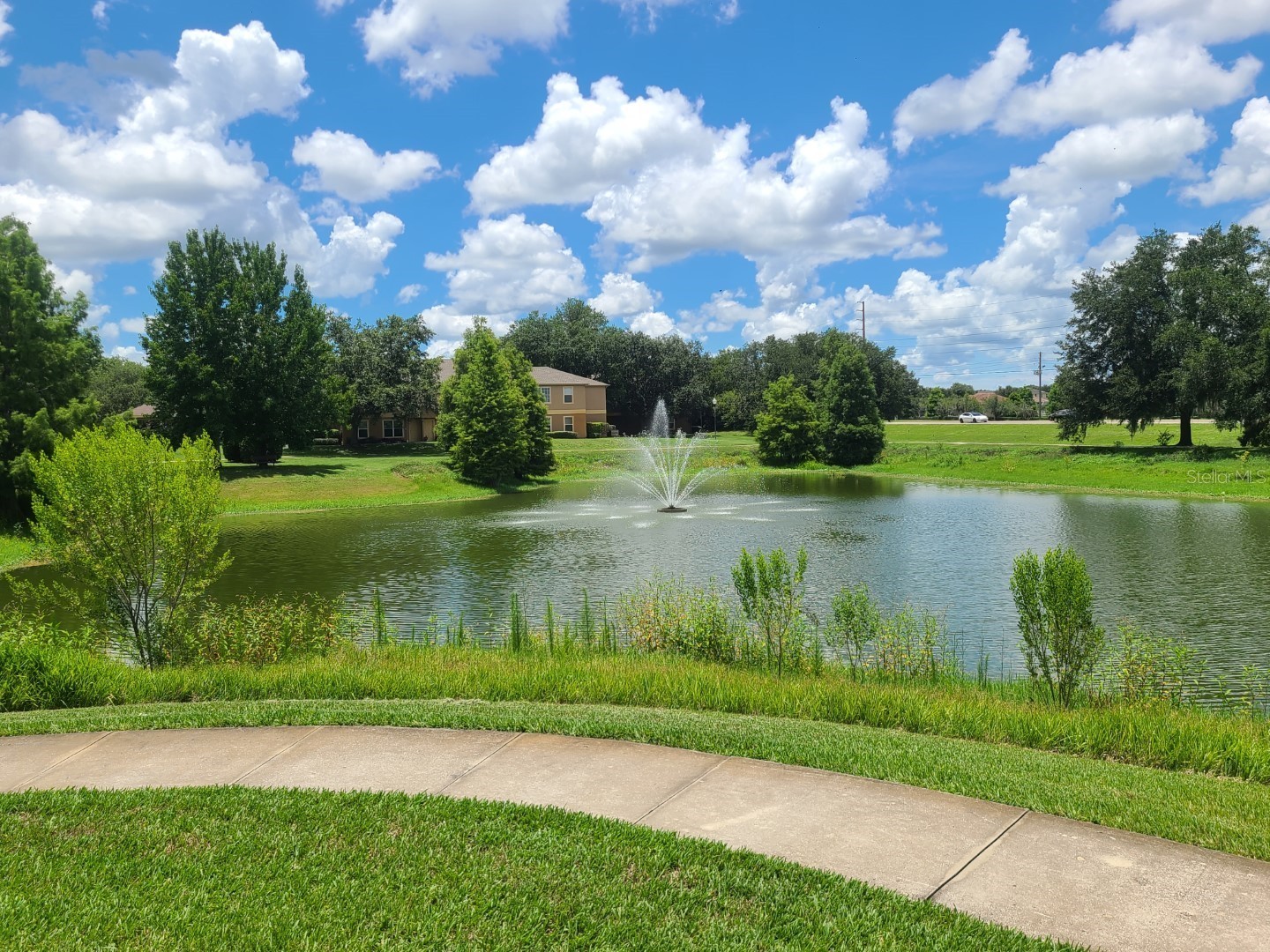 5914 Willow Ridge Drive #101 Zephyrhills FL 33541 TB8507595 image36