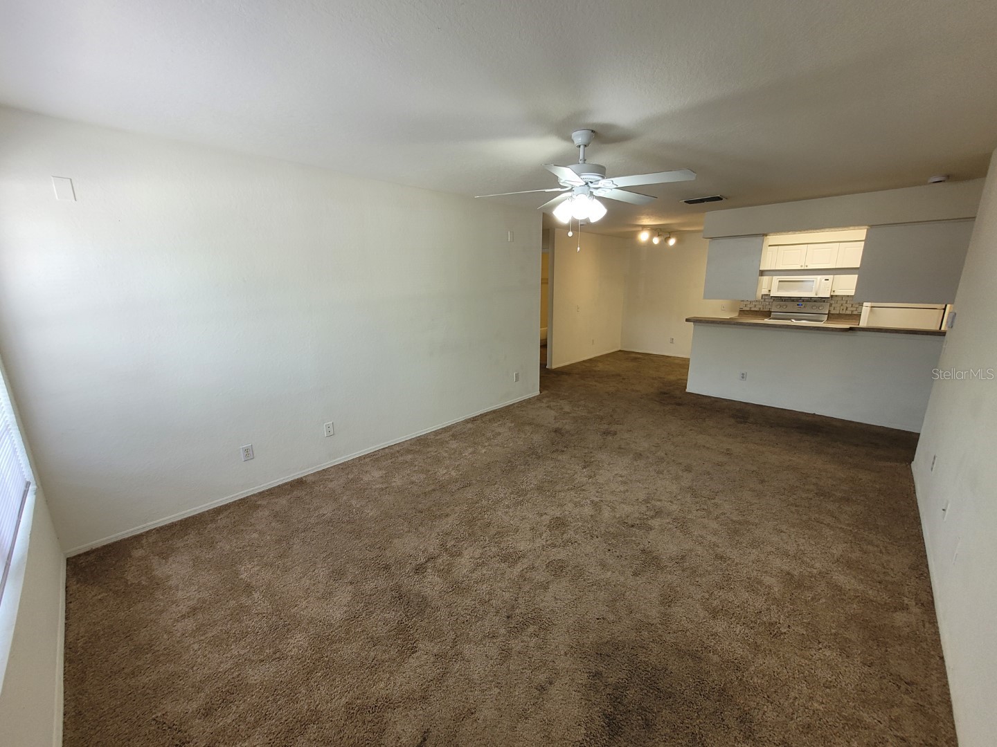 5914 Willow Ridge Drive #101 Zephyrhills FL 33541 TB8507595 image4