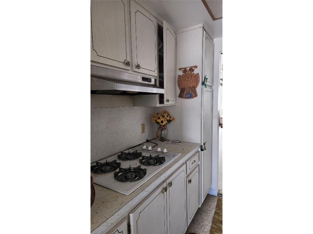 5915 18th Street N #12 Saint Petersburg FL 33714 TB8337497 image6