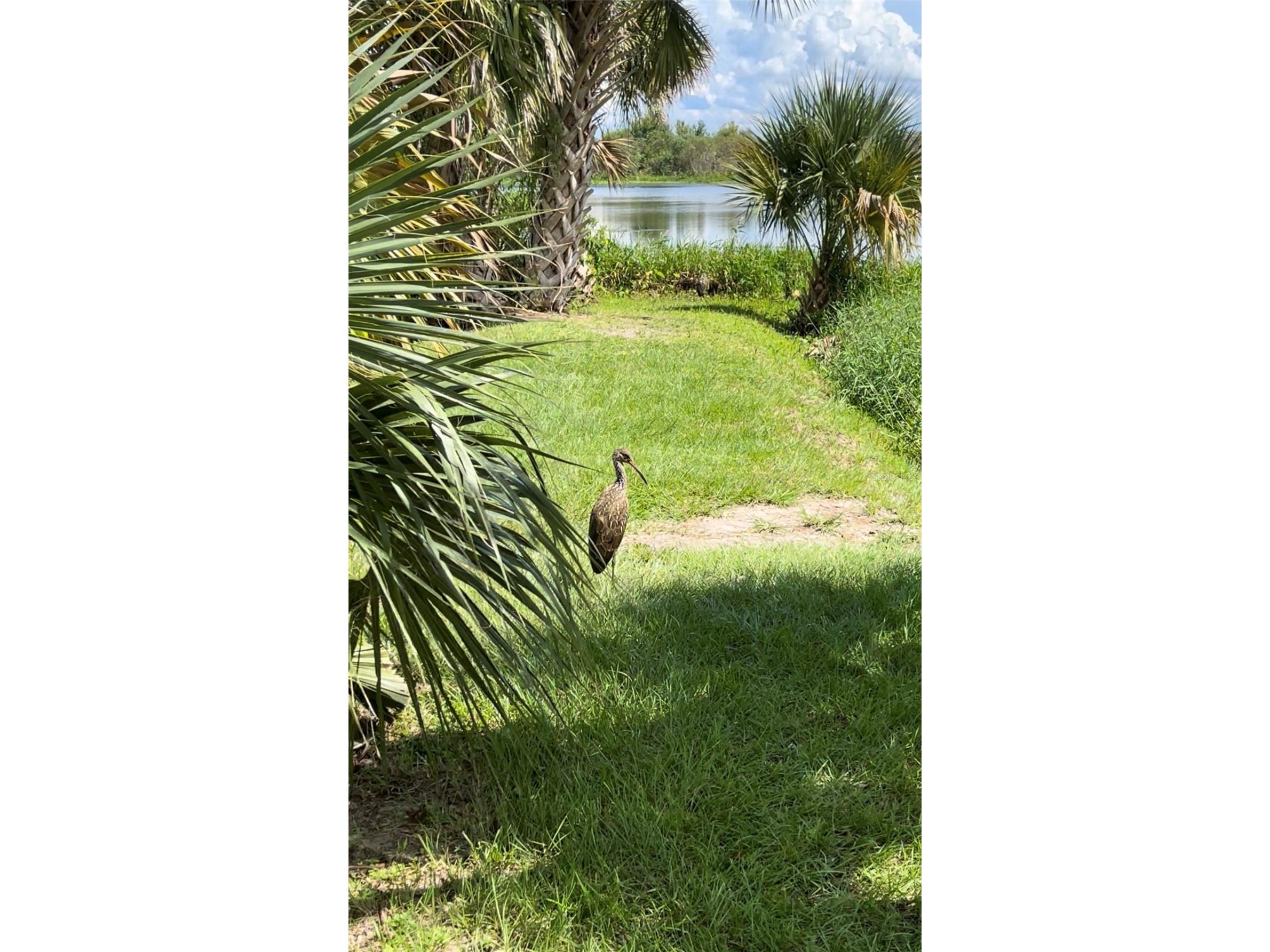5915 Avenue F Mc Intosh FL 32664 OM714504 image52