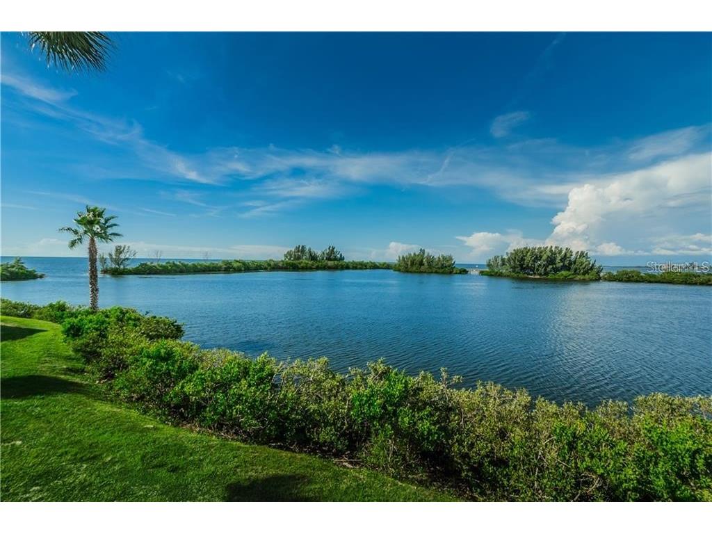 5915 Sea Ranch Drive #307 Hudson FL 34667 - GULF OF MEXICO T3432944 image1