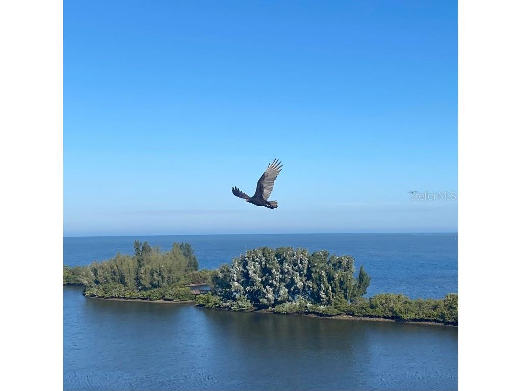 5915 Sea Ranch Drive #509W Hudson FL 34667 - GULF OF MEXICO S5084586 image66