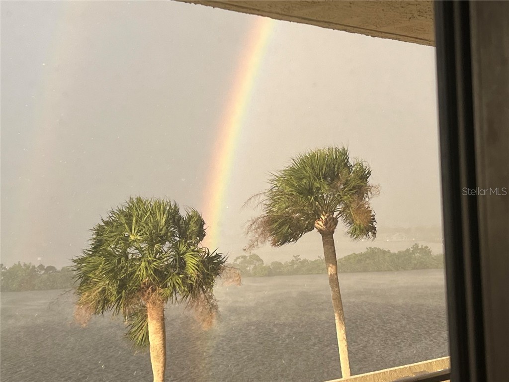 5915 Sea Ranch Drive #512 Hudson FL 34667 TB8372747 image33