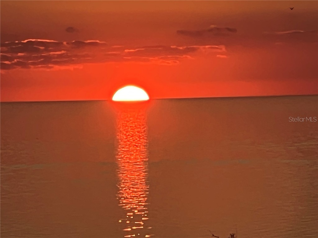 5915 Sea Ranch Drive #512 Hudson FL 34667 TB8372747 image50