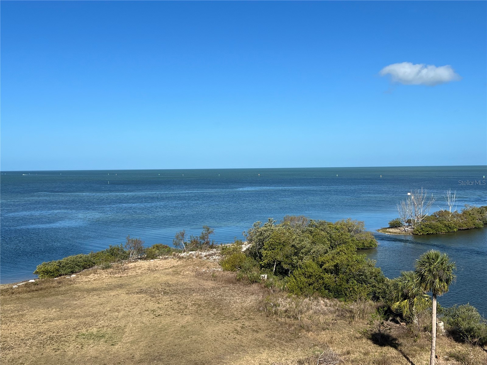 5915 Sea Ranch Drive #512 Hudson FL 34667 TB8372747 image53