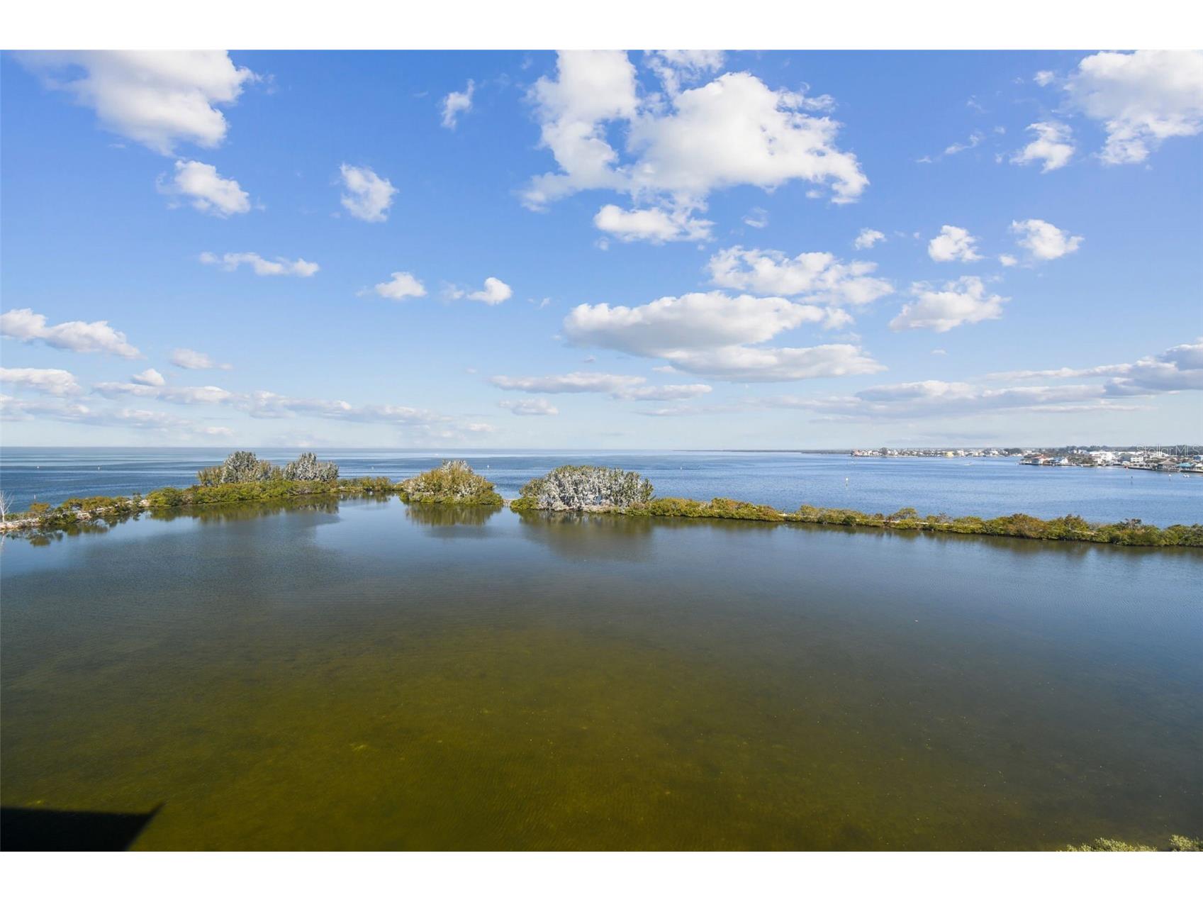 5915 Sea Ranch Drive #703 Hudson FL 34667 TB8529308 image18