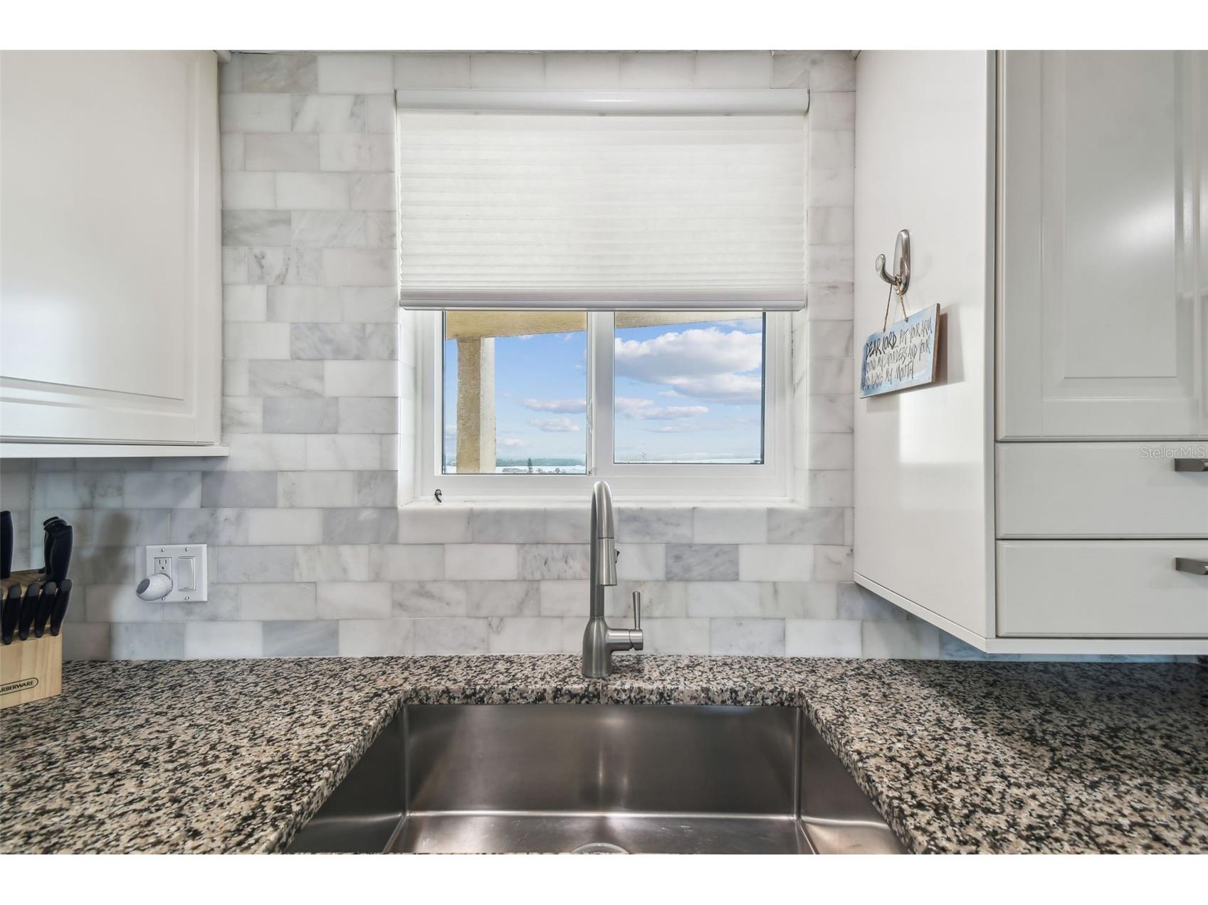 5915 Sea Ranch Drive #703 Hudson FL 34667 TB8529308 image9