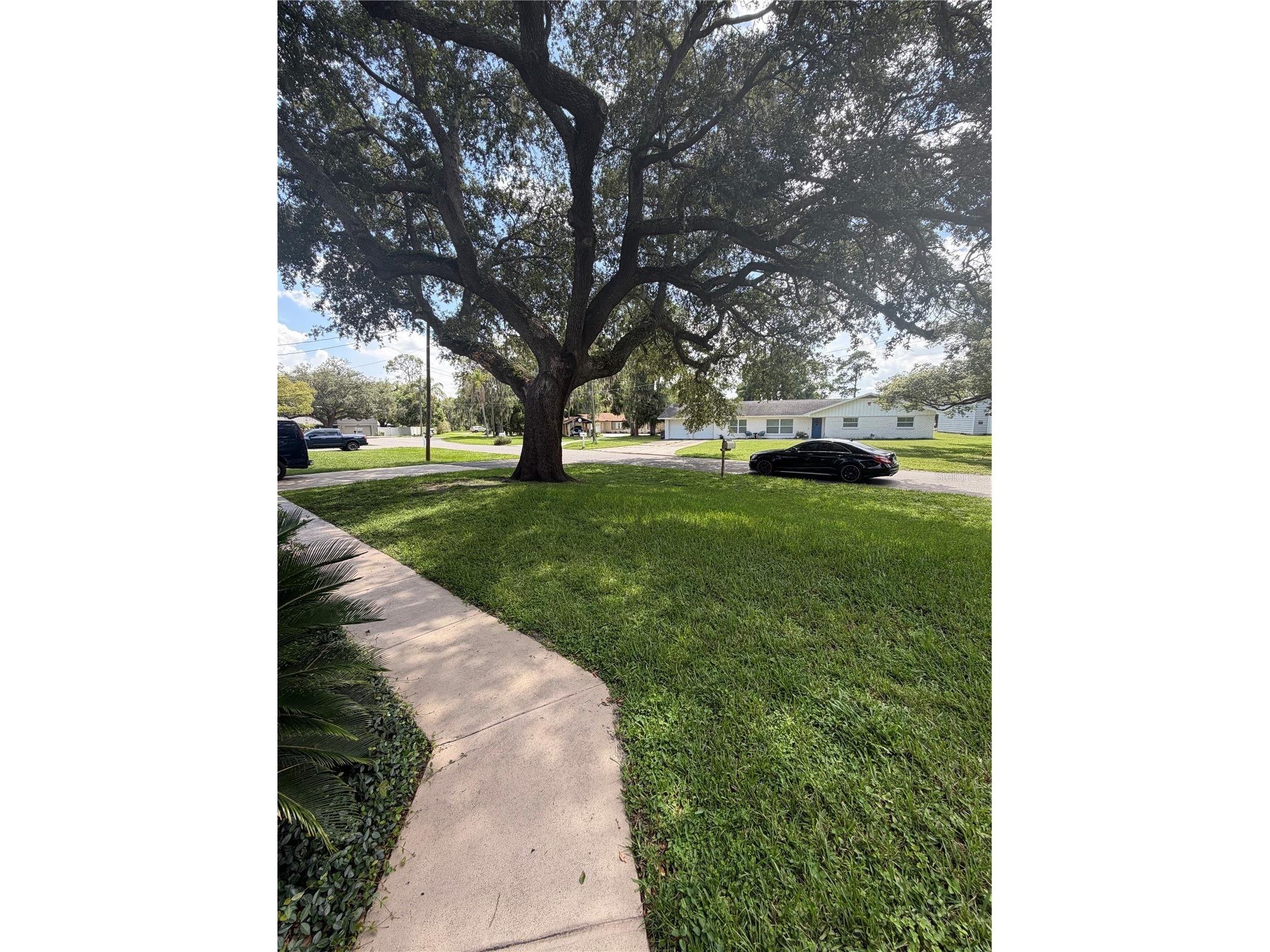 5915 Sheryl Anita Street Oviedo FL 32765 O6424140 image34