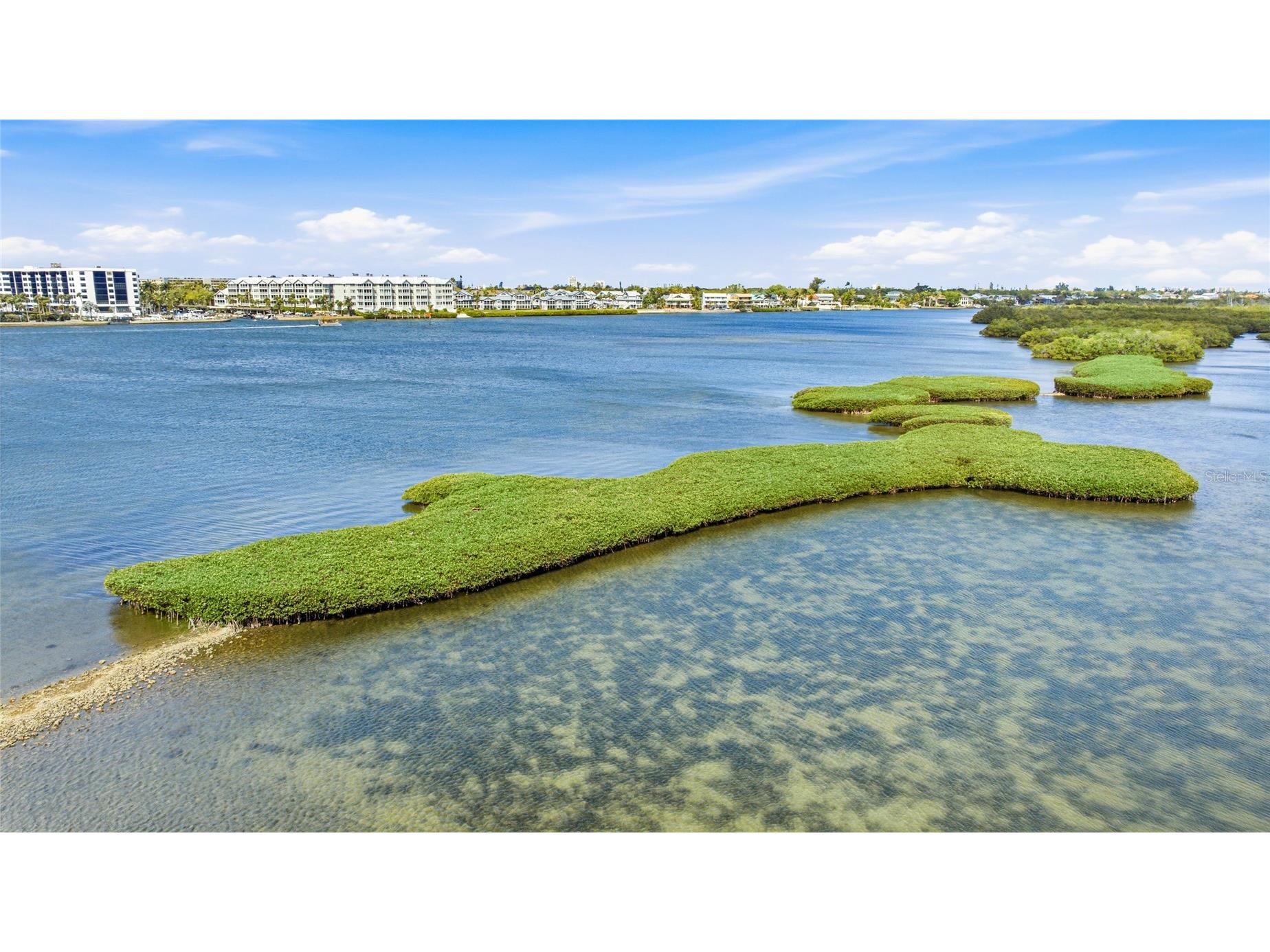 5915 Tidewood Avenue #4 Sarasota FL 34231 A4675716 image40