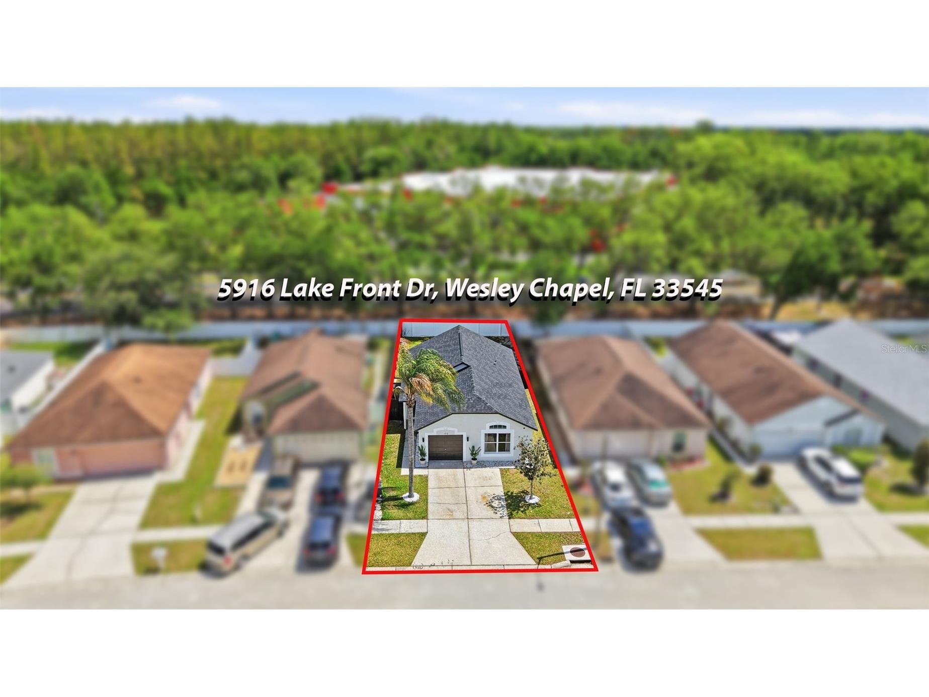 5916 Lake Front Drive Wesley Chapel FL 33545 TB8496651 image39