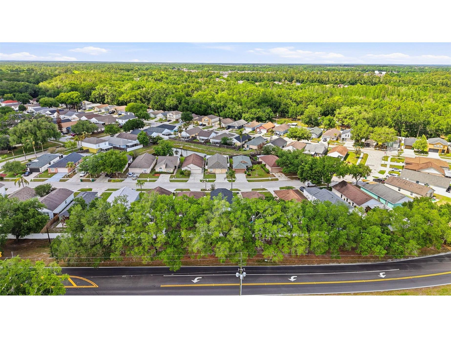 5916 Lake Front Drive Wesley Chapel FL 33545 TB8496651 image40