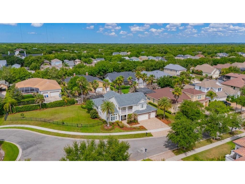 5917 Alana Leigh Place Lithia FL 33547 TB8500065 image45