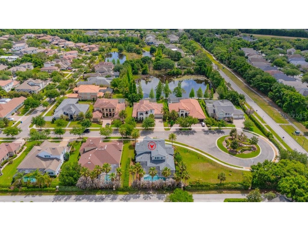 5917 Alana Leigh Place Lithia FL 33547 TB8500065 image50