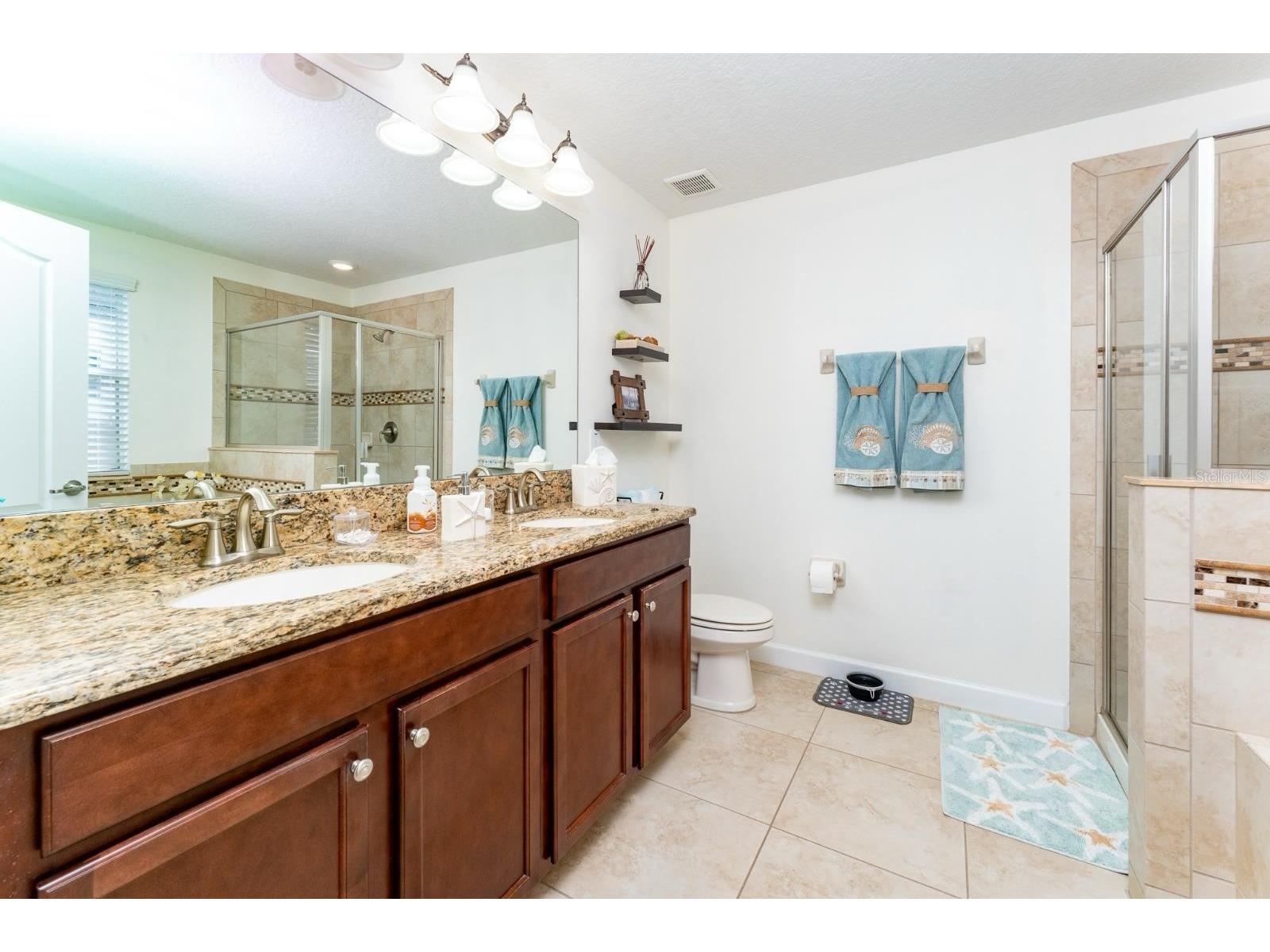 5917 Grassy Point Road Winter Garden FL 34787 O6412321 image11