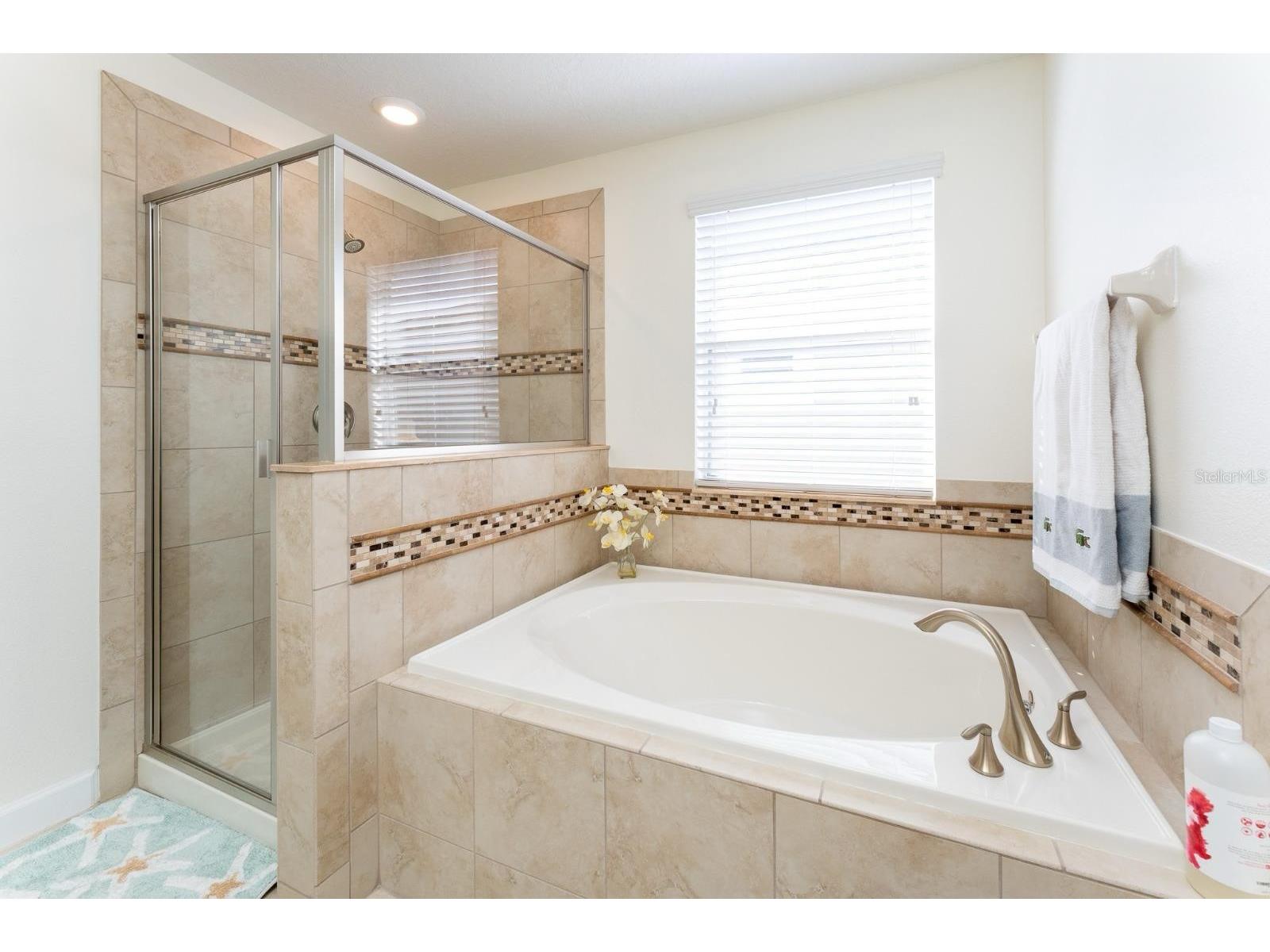 5917 Grassy Point Road Winter Garden FL 34787 O6412321 image12