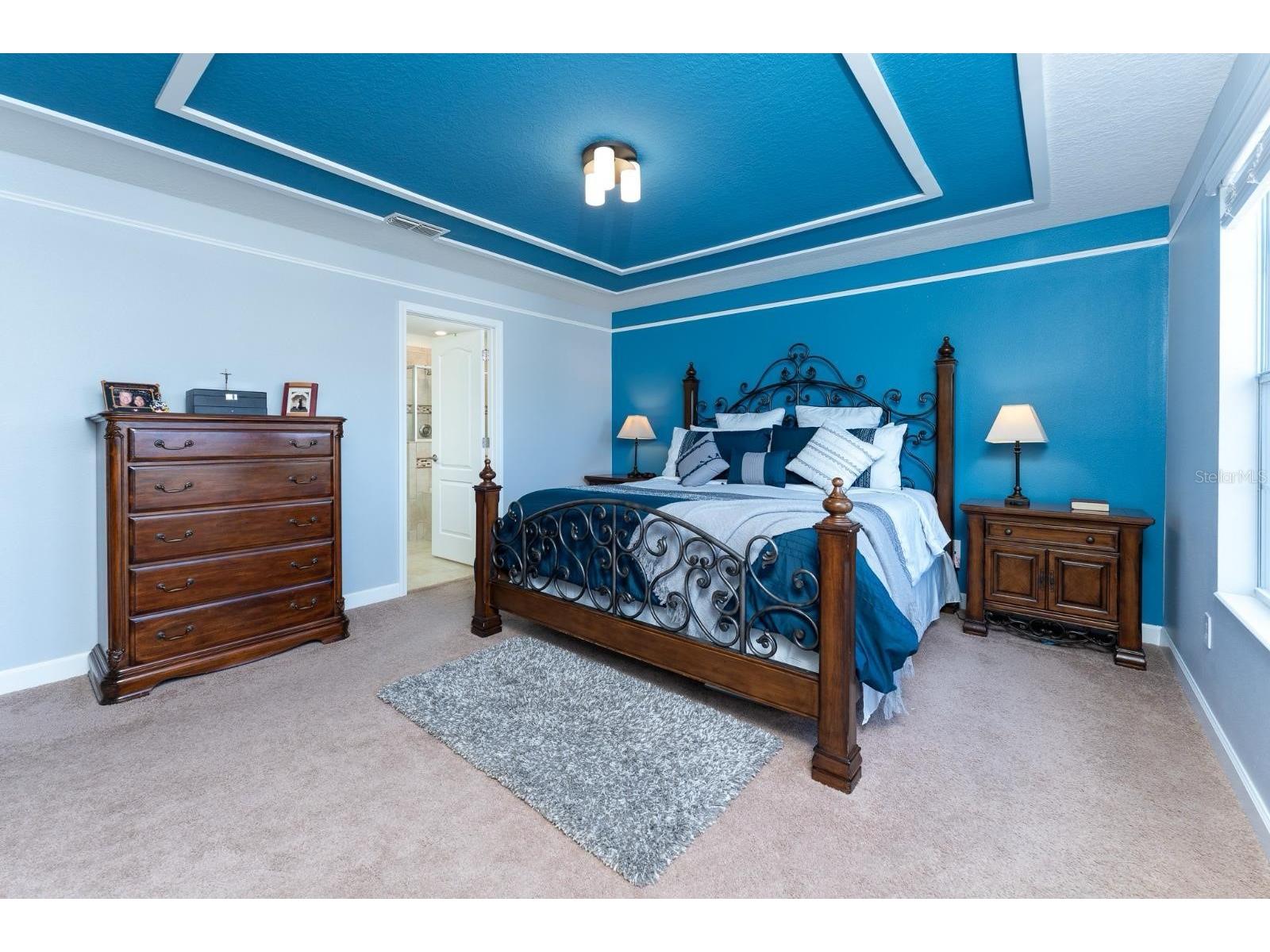 5917 Grassy Point Road Winter Garden FL 34787 O6412321 image9