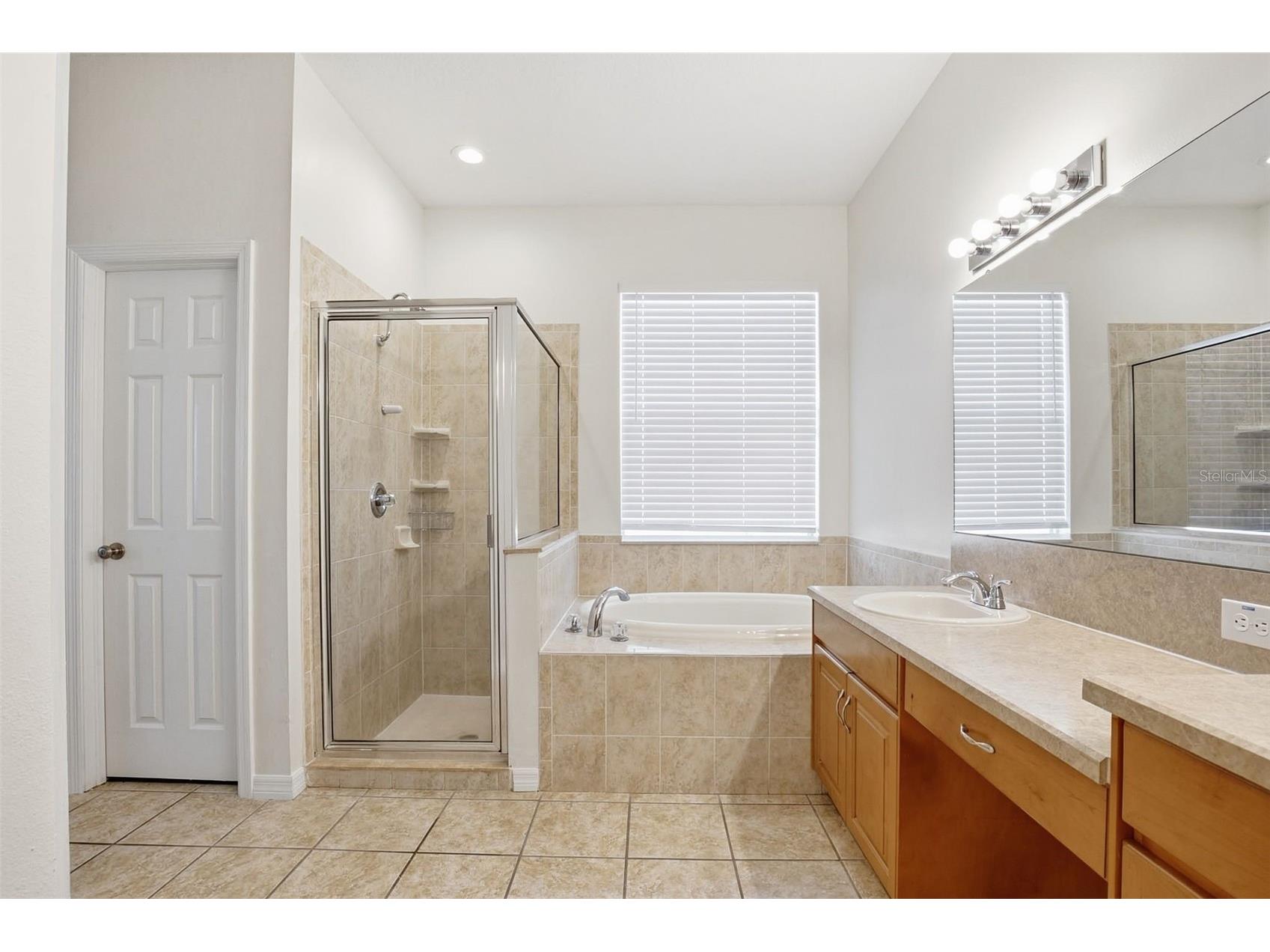 5917 Wedgefield Drive Zephyrhills FL 33541 O6394376 image40