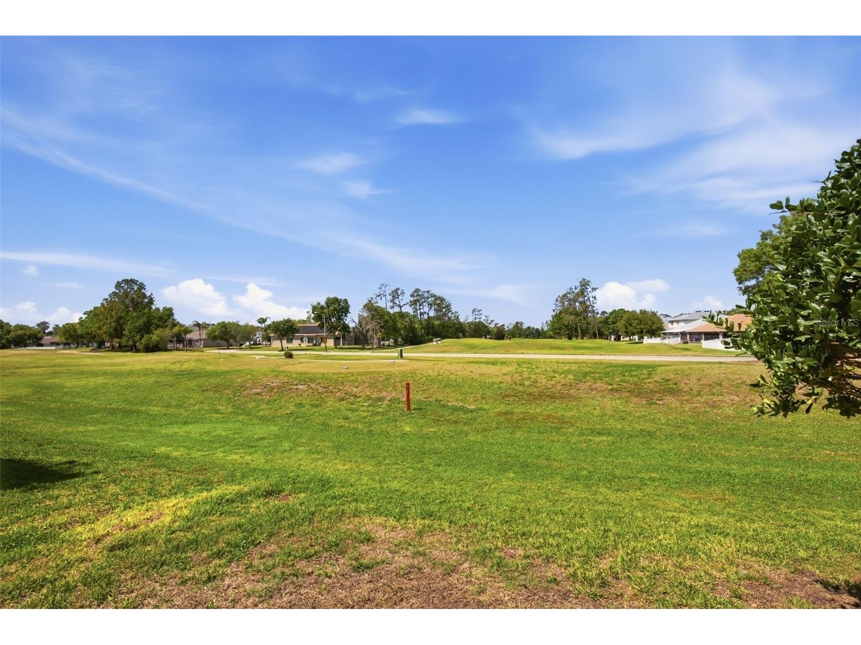 5917 Wedgefield Drive Zephyrhills FL 33541 O6394376 image44