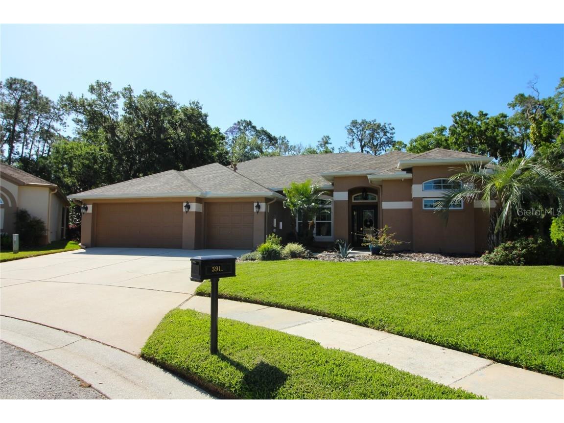 5919 Falconwood Place Lithia FL 33547 T3514445 image1
