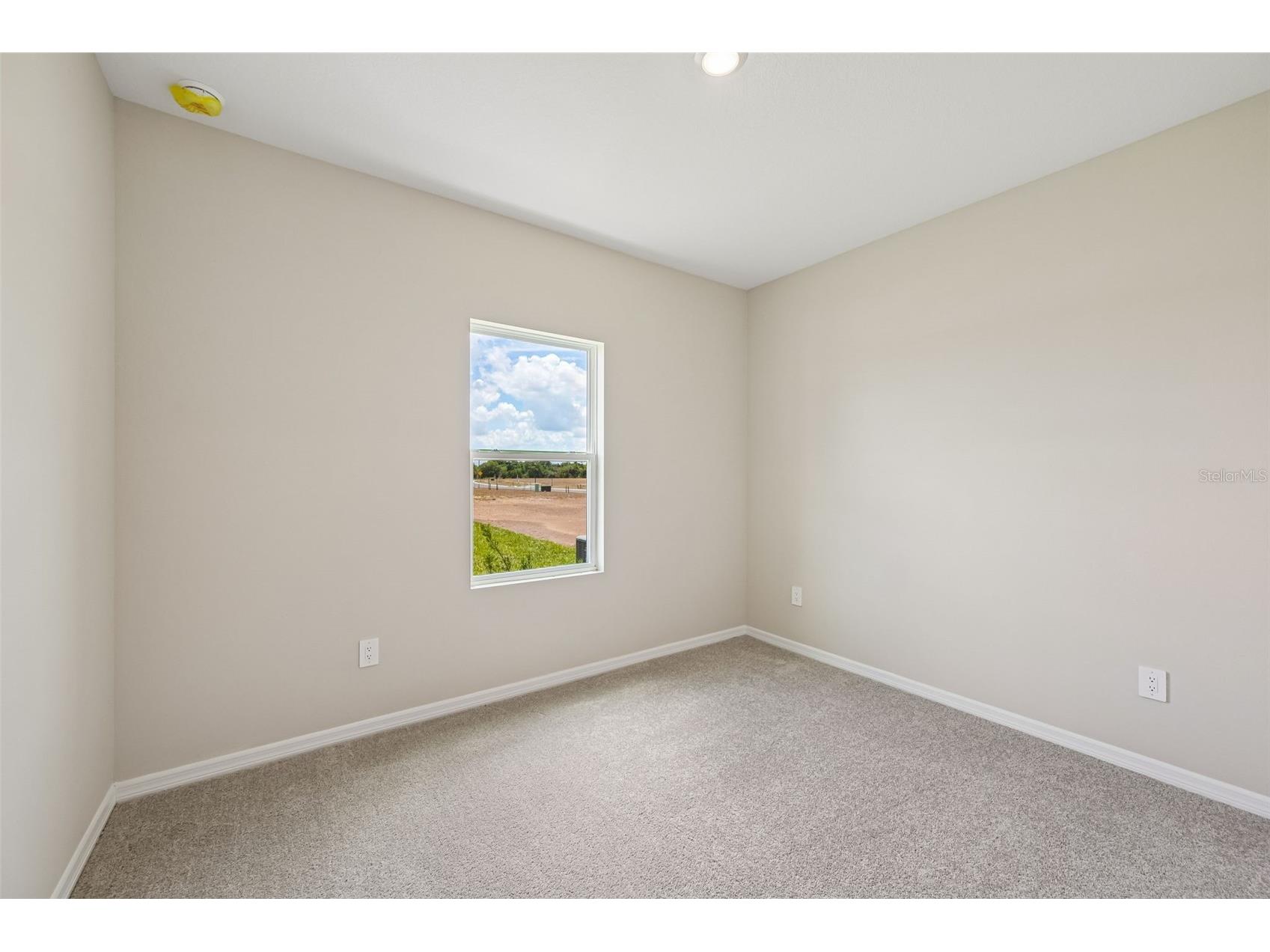 5919 Fresh Flora Drive Wimauma FL 33598 TB8493455 image14