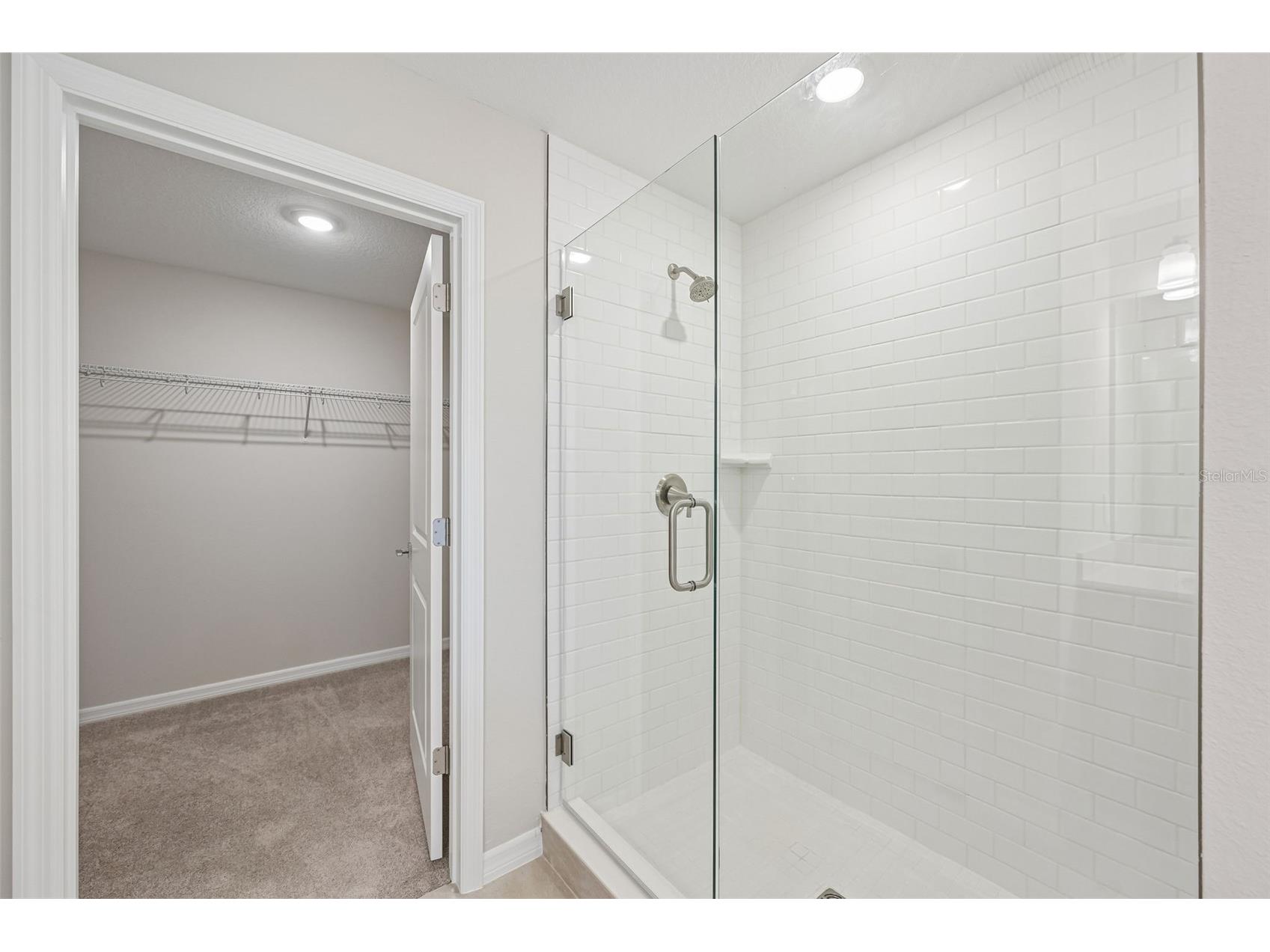 5919 Fresh Flora Drive Wimauma FL 33598 TB8493455 image23