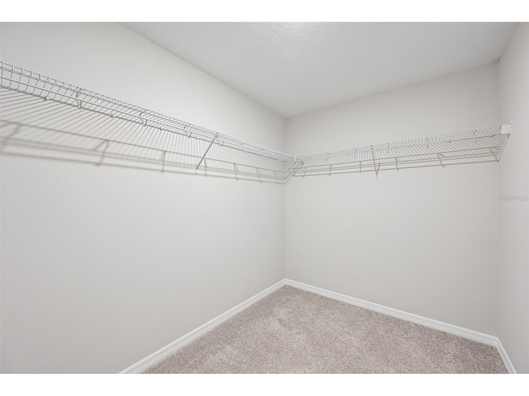 5919 Fresh Flora Drive Wimauma FL 33598 TB8493455 image24