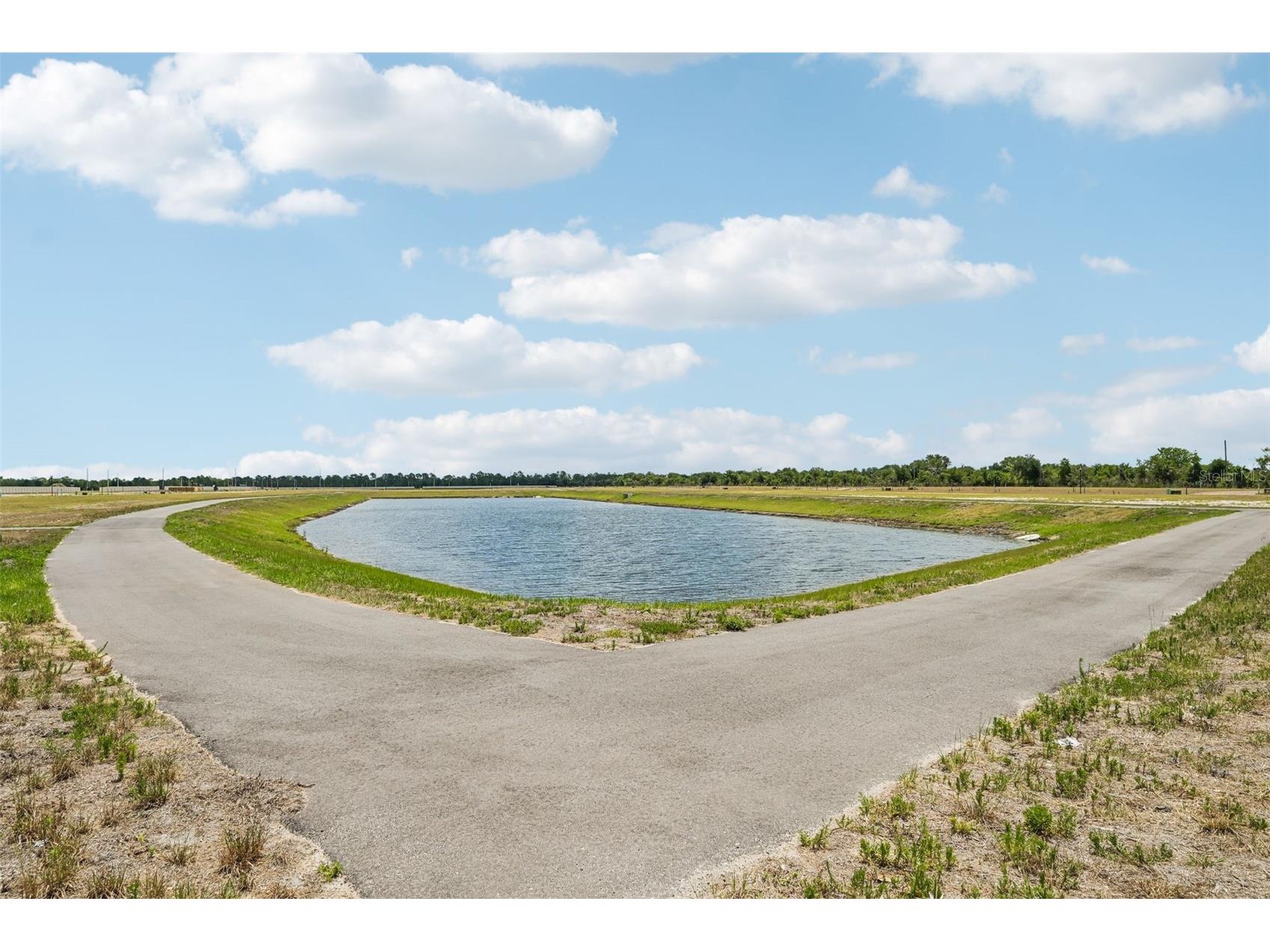5919 Fresh Flora Drive Wimauma FL 33598 TB8493455 image27