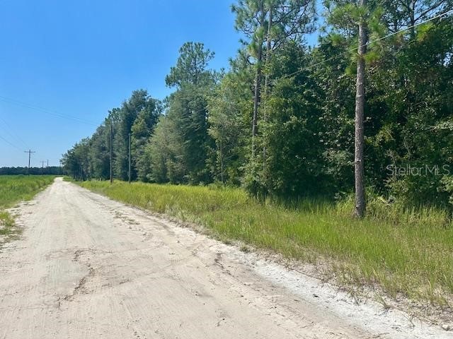 5919 NW 10th Avenue Bell FL 32619 GC533770 image1