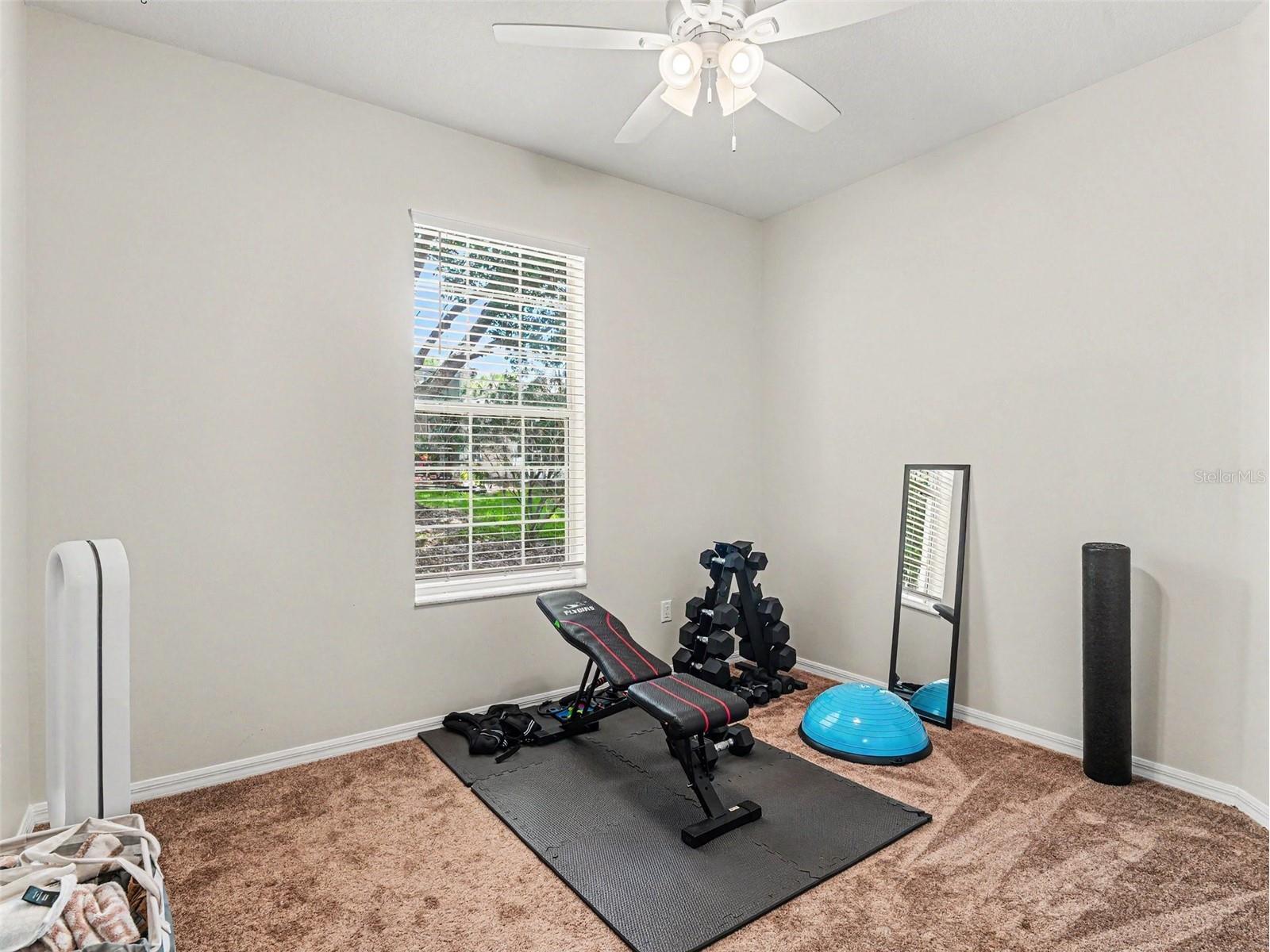 5919 Phoebenest Drive Lithia FL 33547 TB8510789 image20