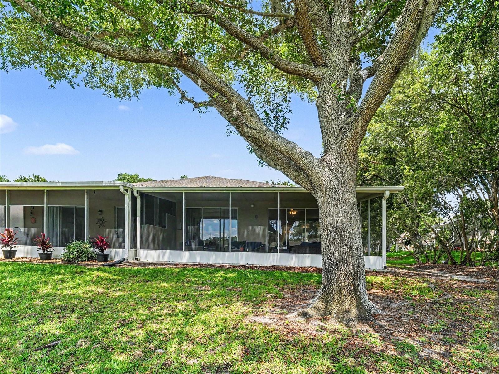 5919 Phoebenest Drive Lithia FL 33547 TB8510789 image28