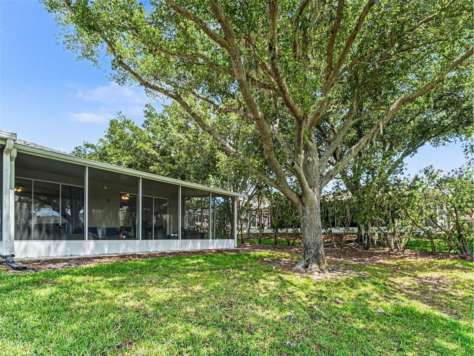 5919 Phoebenest Drive Lithia FL 33547 TB8510789 image29