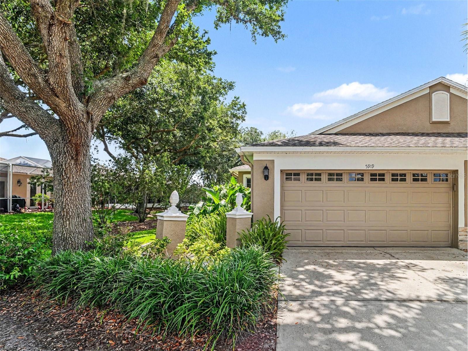 5919 Phoebenest Drive Lithia FL 33547 TB8510789 image3
