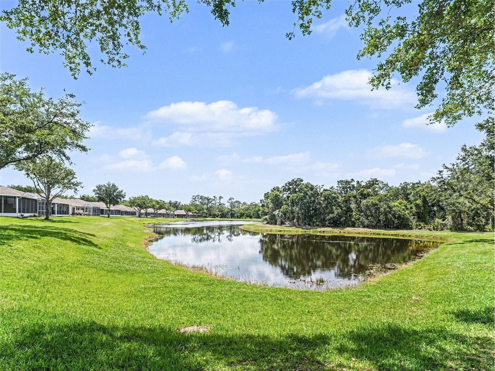 5919 Phoebenest Drive Lithia FL 33547 TB8510789 image31