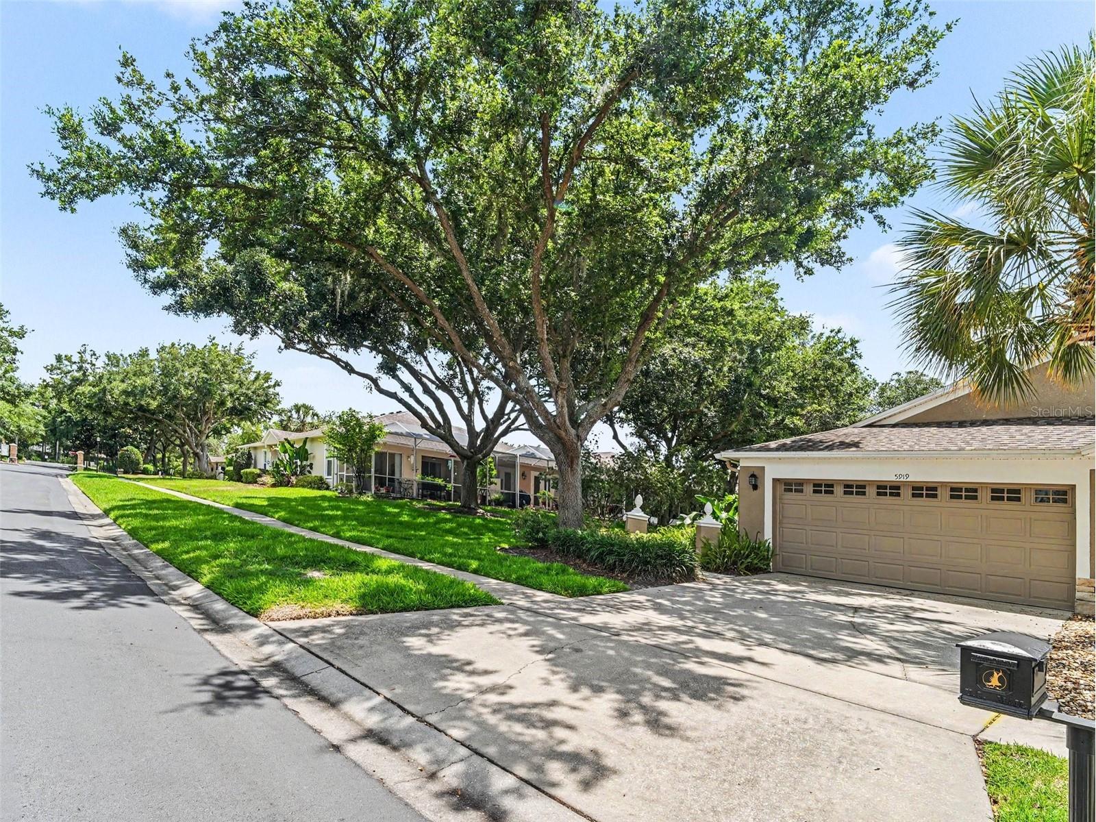 5919 Phoebenest Drive Lithia FL 33547 TB8510789 image4
