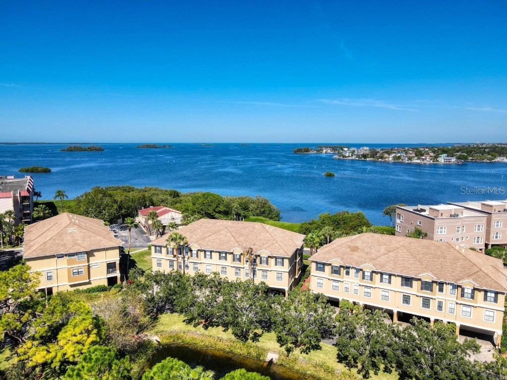 592 Bella Loop Dunedin FL 34698 U8223559 image1