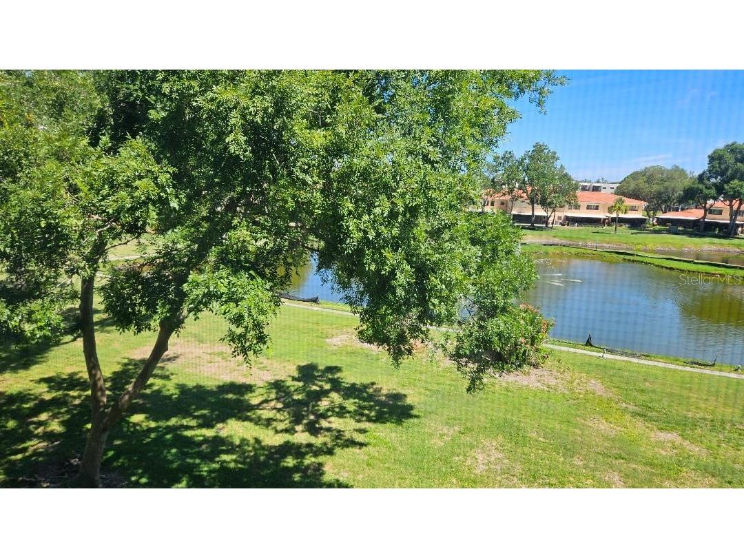 5920 80th Street N #308 Saint Petersburg FL 33709 TB8516172 image22