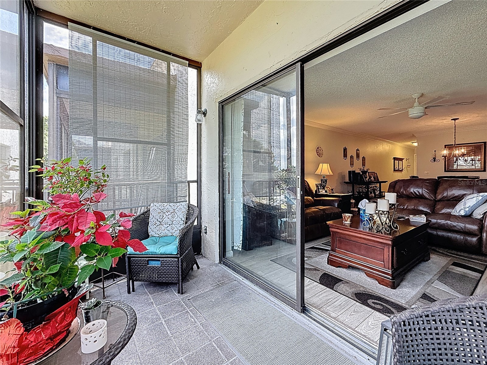 5920 80th Street N #406 Saint Petersburg FL 33709 TB8428997 image5