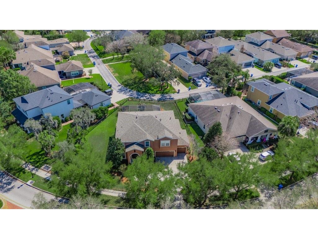 5920 Fishhawk Crossing Boulevard Lithia FL 33547 TB8484718 image49