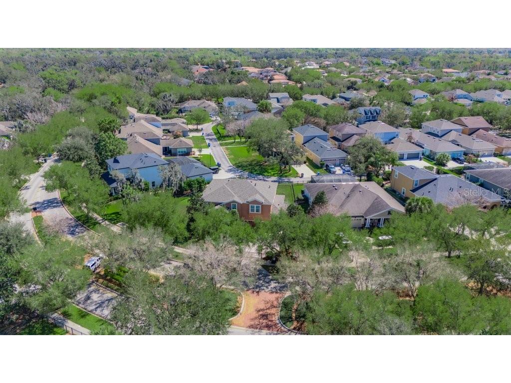5920 Fishhawk Crossing Boulevard Lithia FL 33547 TB8484718 image50