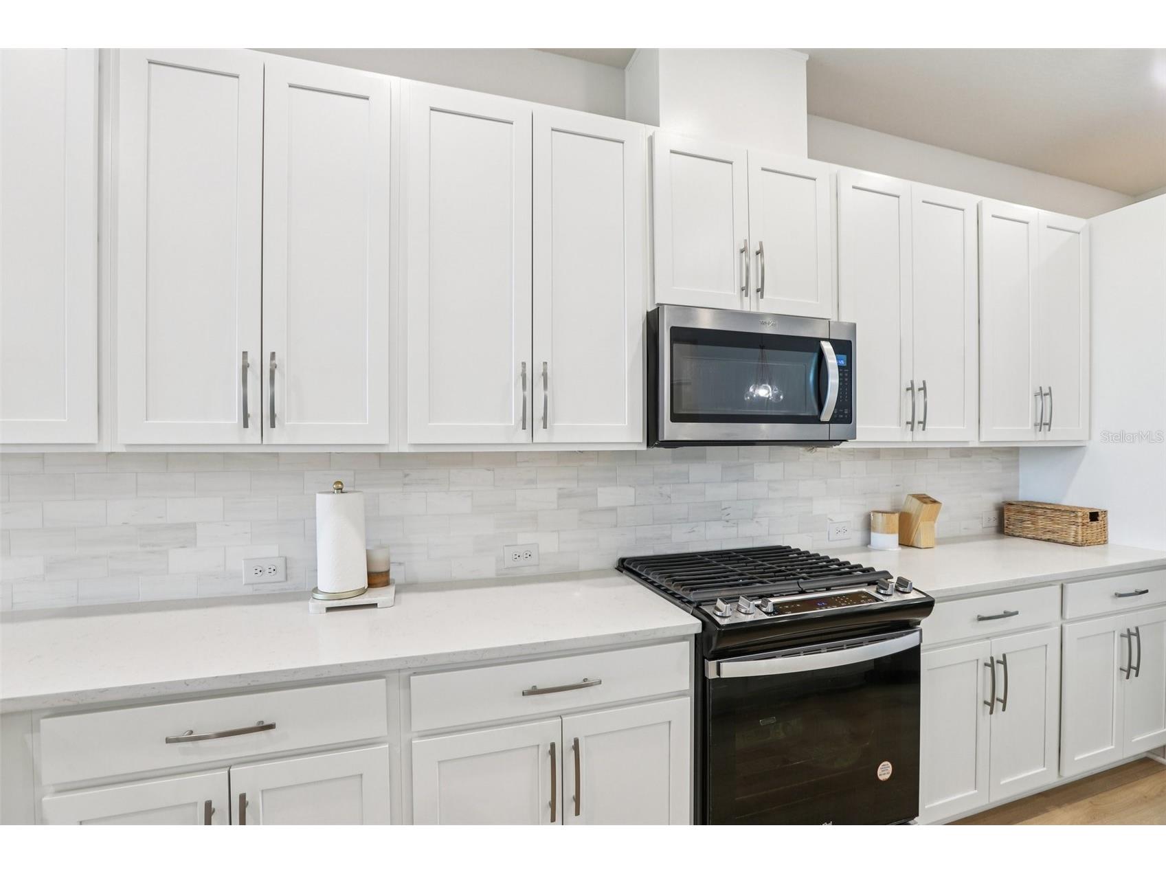 5920 Hidden Branch Drive Apollo Beach FL 33572 TB8496338 image23
