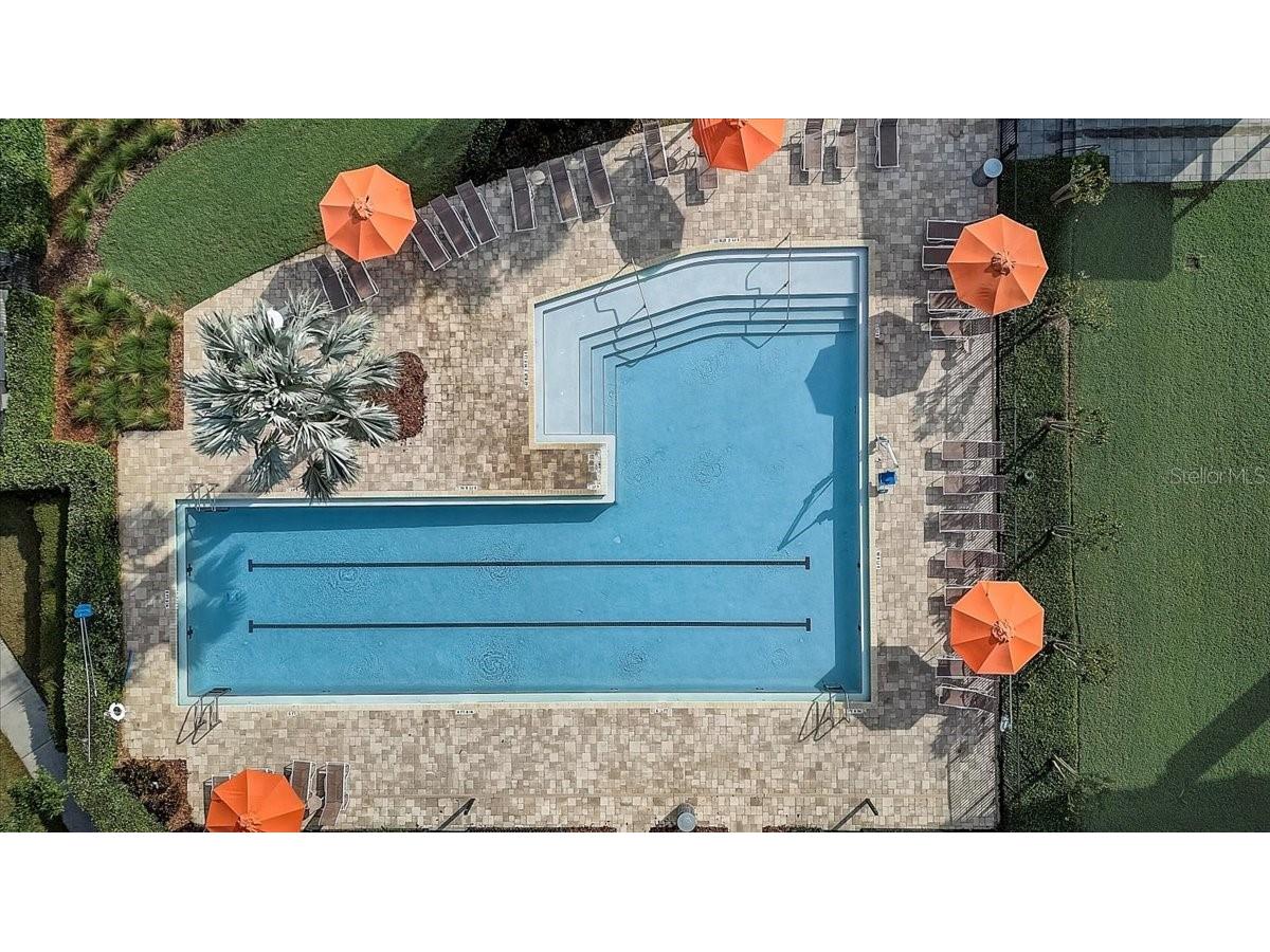 5920 Hidden Branch Drive Apollo Beach FL 33572 TB8496338 image61