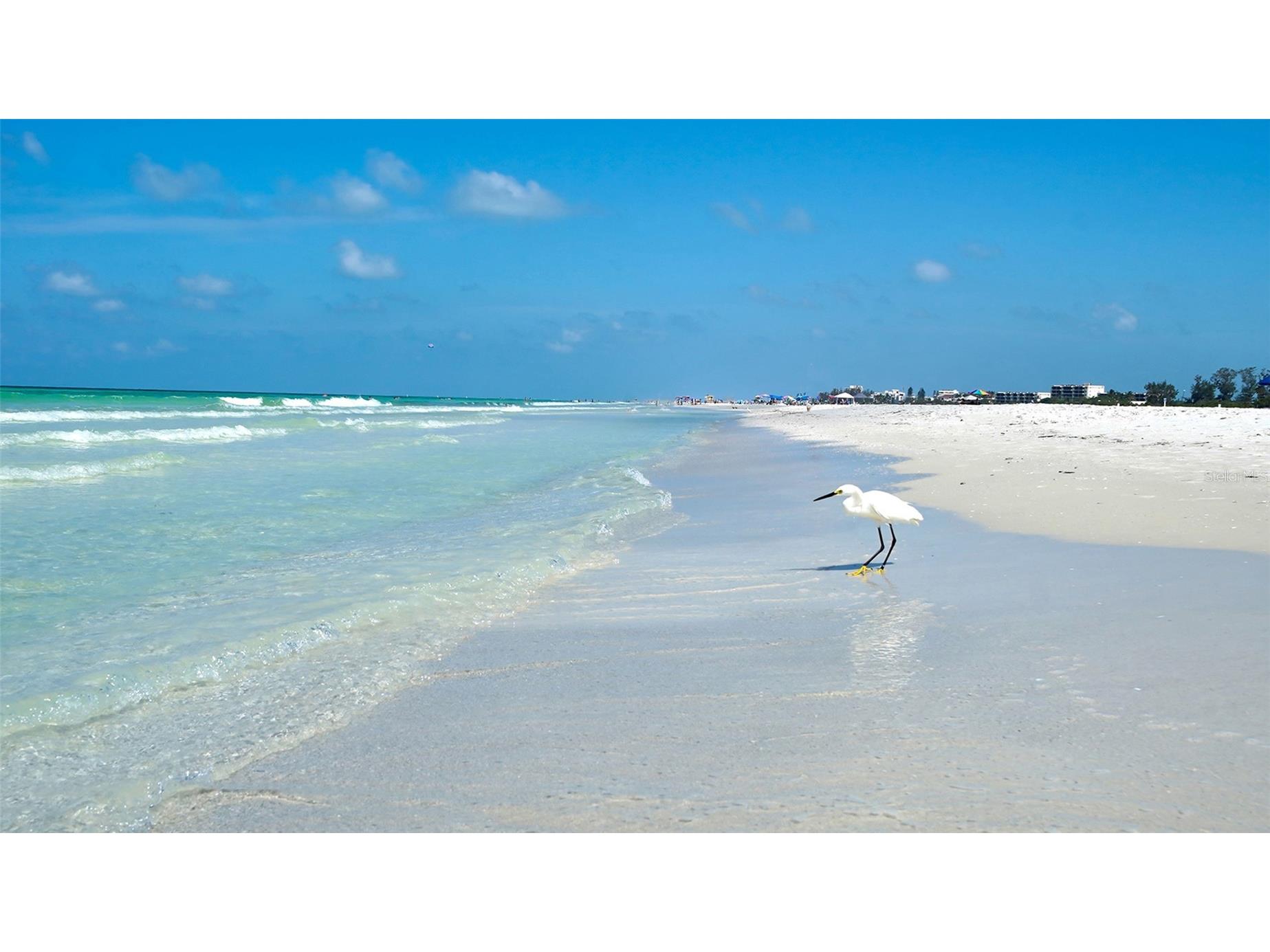 5920 Midnight Pass Road #1003 Sarasota FL 34242 - GULF OF MEXICO A4683544 image87