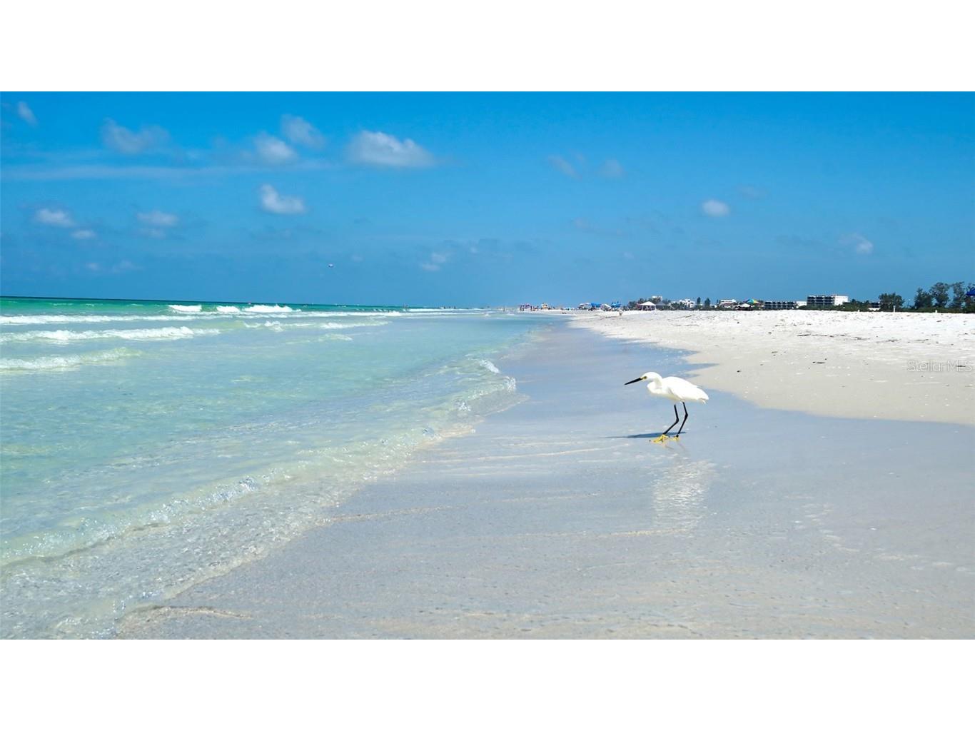 5920 Midnight Pass Road #406 Sarasota FL 34242 - GULF OF MEXICO A4649118 image84