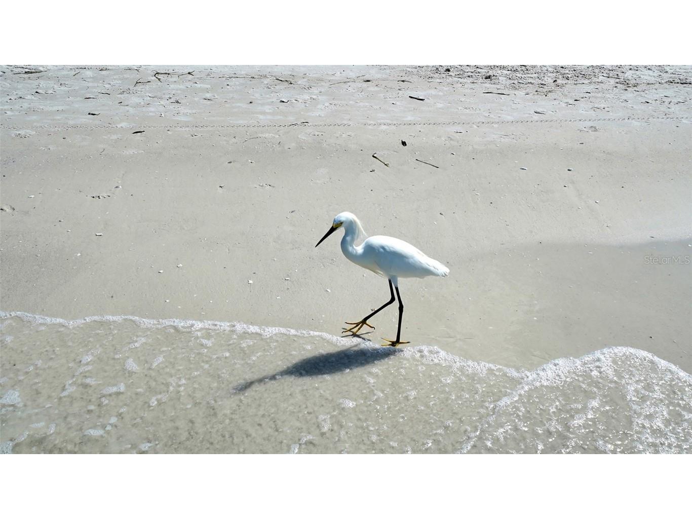 5920 Midnight Pass Road #406 Sarasota FL 34242 - GULF OF MEXICO A4649118 image85