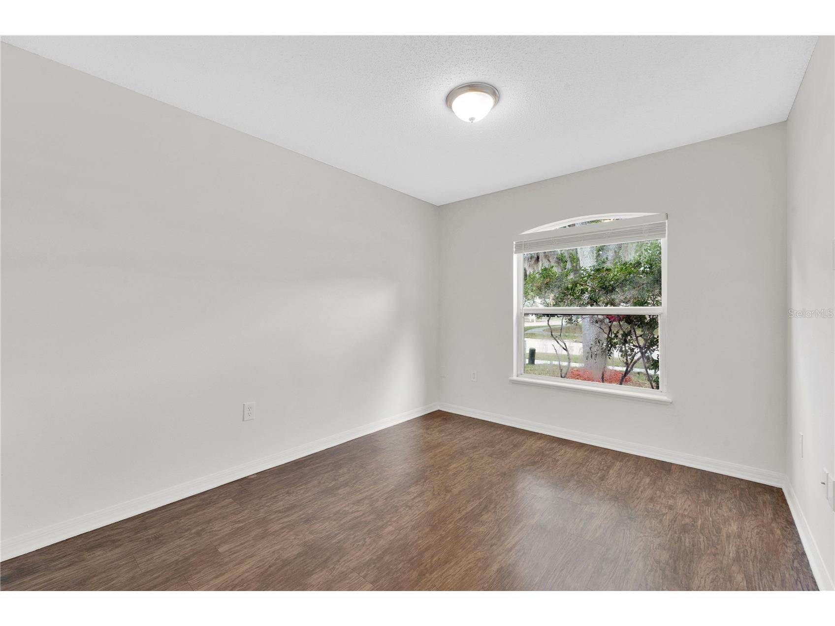 5920 Rotella Drive Wesley Chapel FL 33545 O6405687 image19