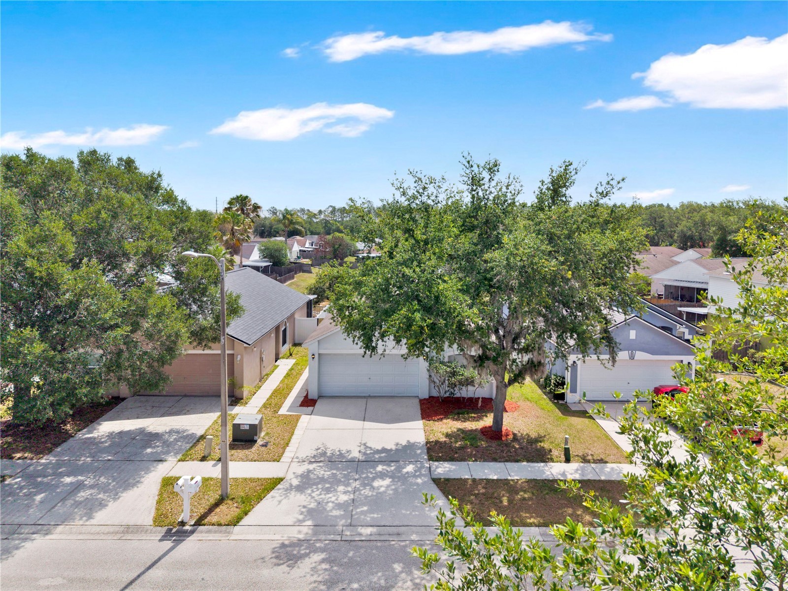 5920 Rotella Drive Wesley Chapel FL 33545 O6405687 image30