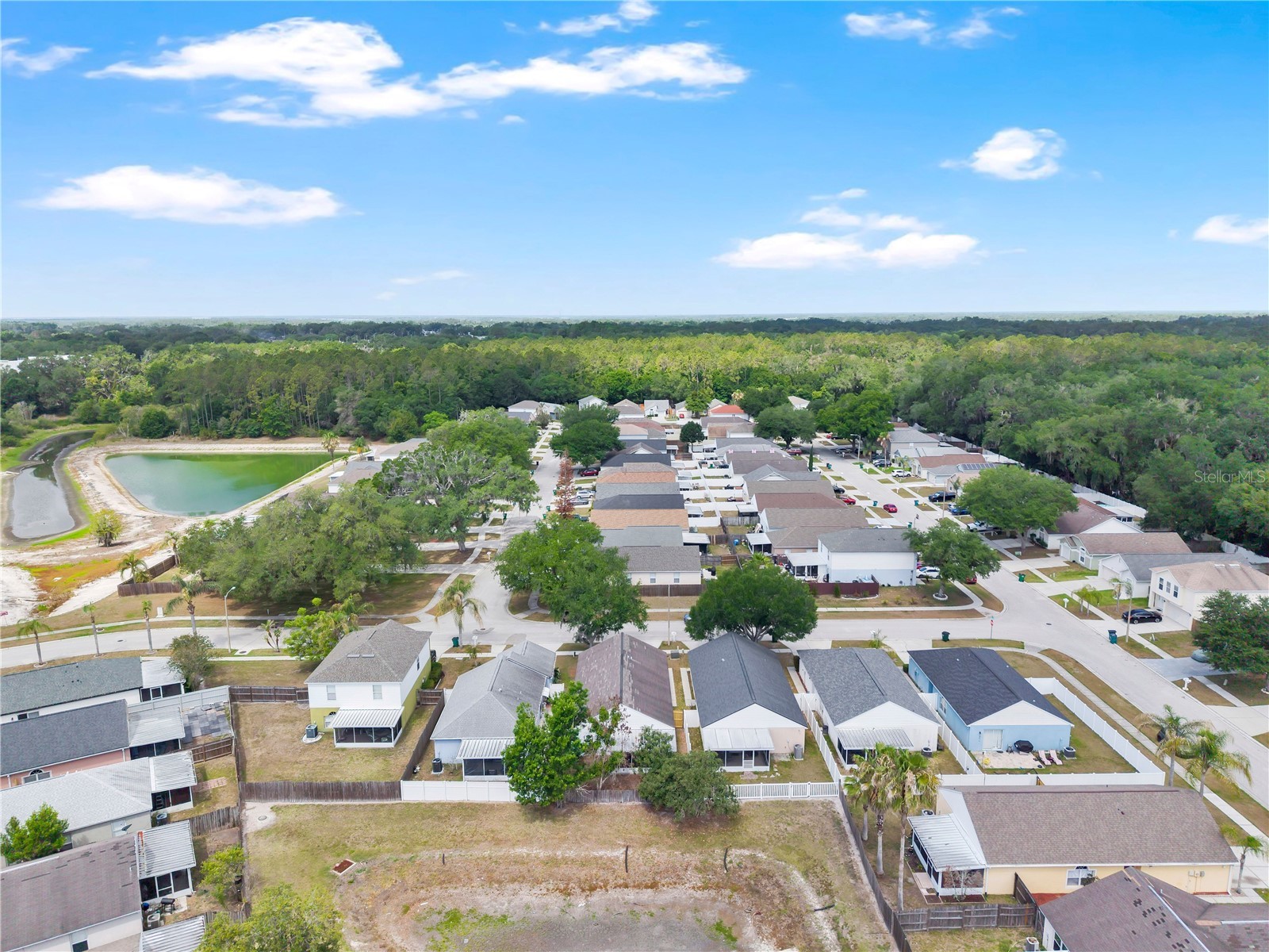 5920 Rotella Drive Wesley Chapel FL 33545 O6405687 image35