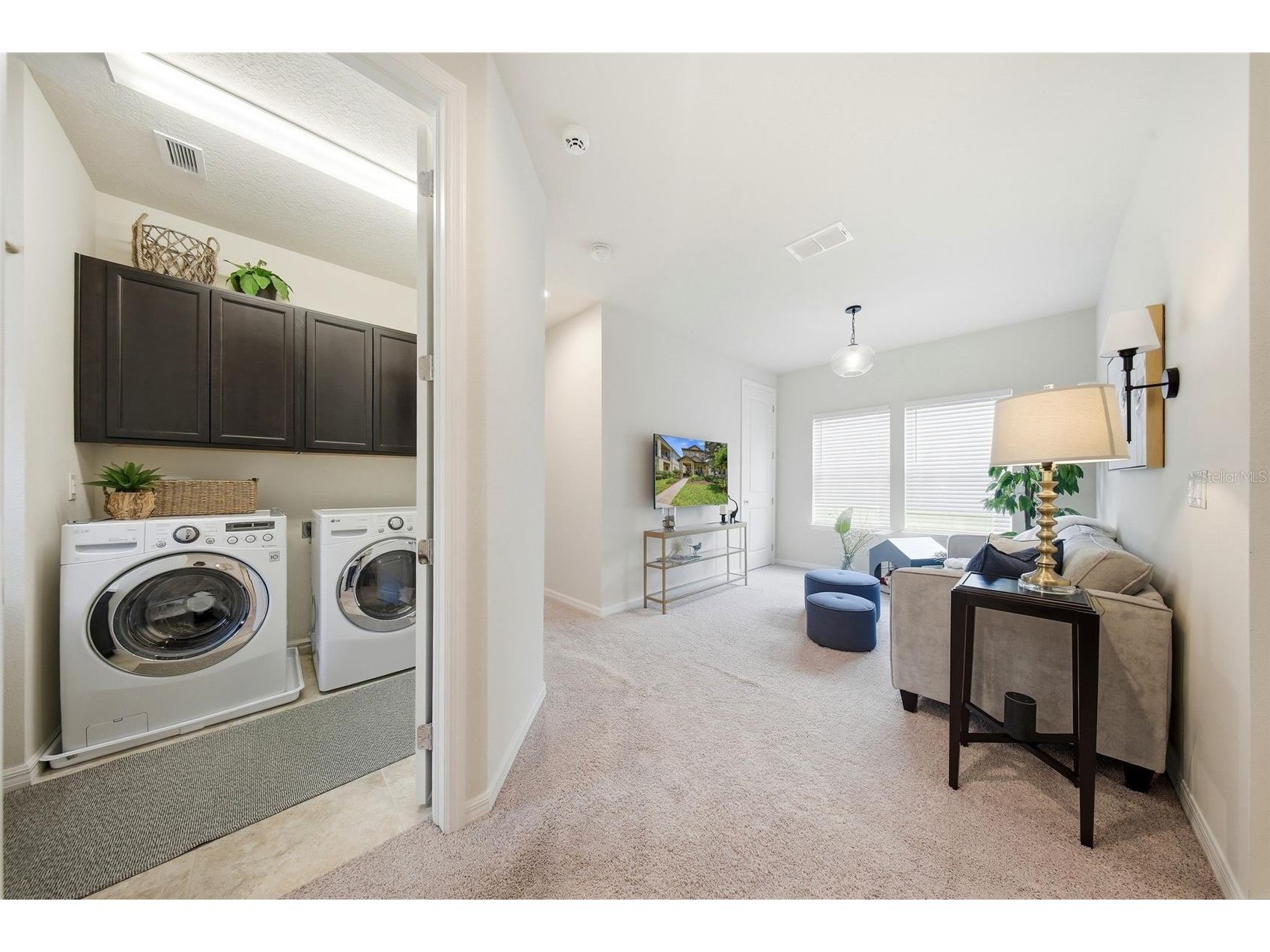 5920 Village Center Drive Lithia FL 33547 TB8502912 image28