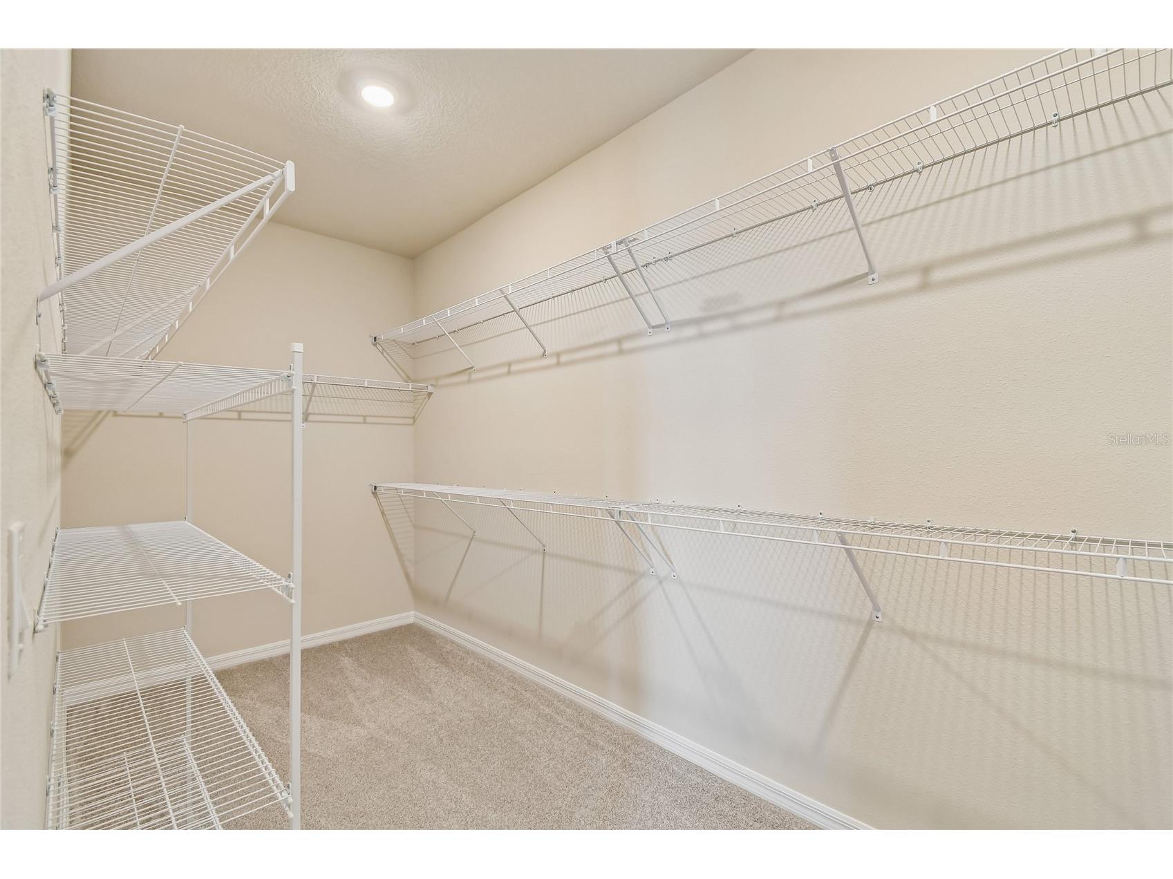 5921 Bristle Oak Street Mount Dora FL 32757 TB8445659 image24