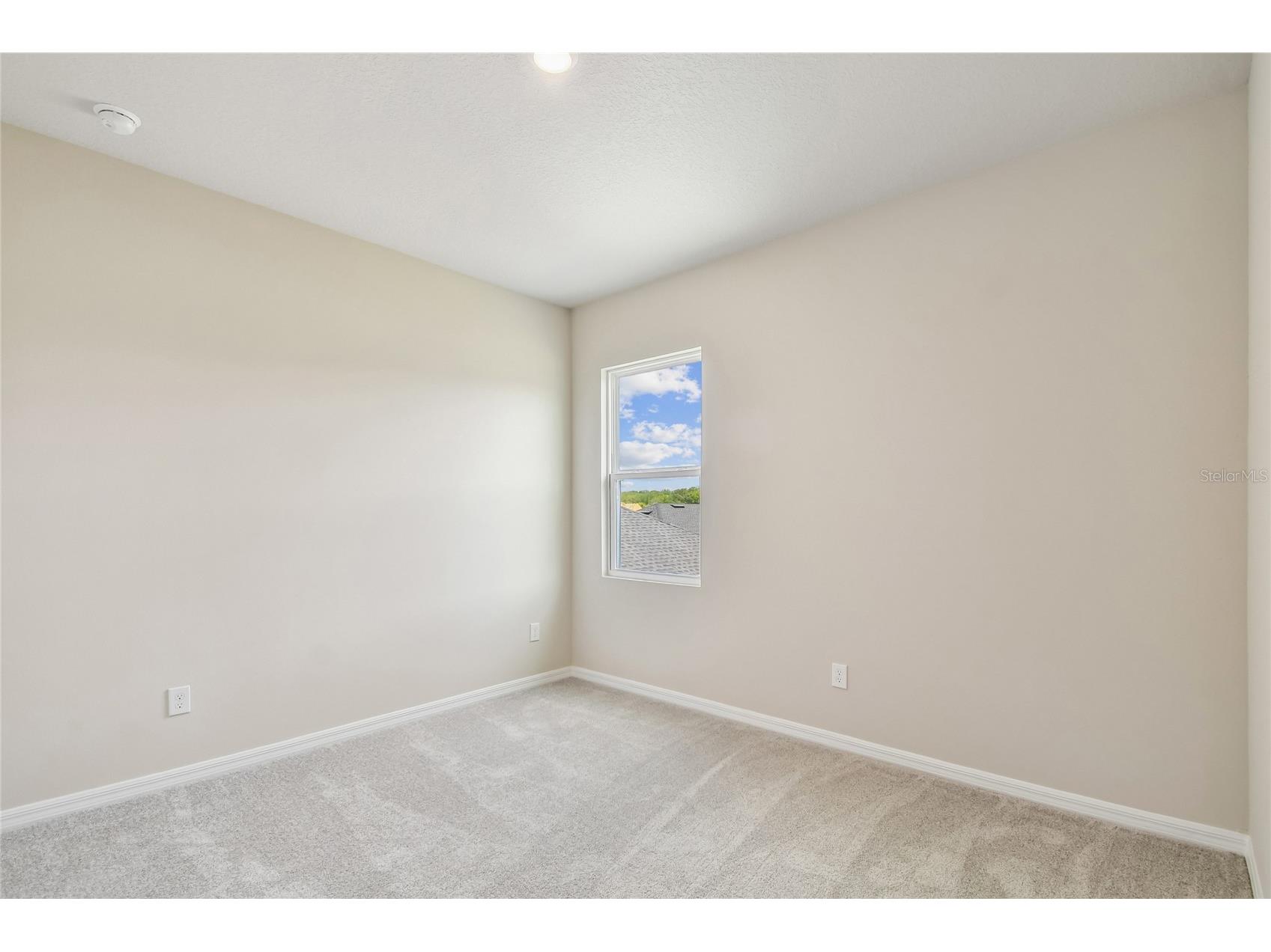 5921 Bristle Oak Street Mount Dora FL 32757 TB8445659 image25